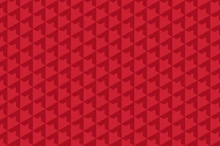 Red Pattern